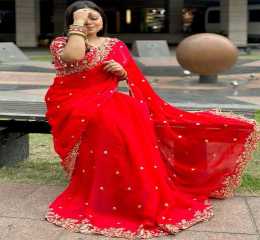 Indian Gemichu fabric saree